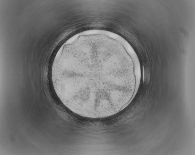 X0000110320483200906181826