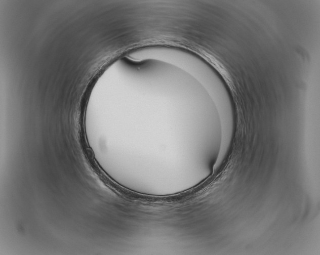 X0000110320485200906181826