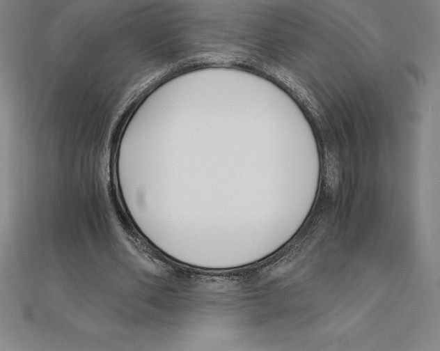 X0000110320486200906181826