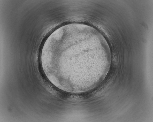 X0000110320487200906181826