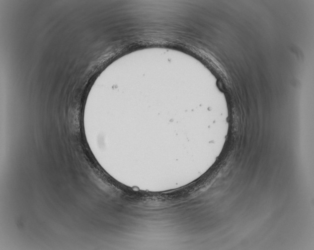 X0000110320489200906181826