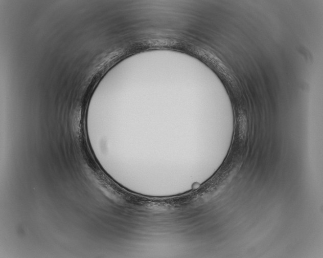 X0000110320490200906181826