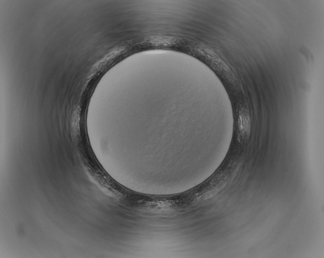 X0000110320492200906181826