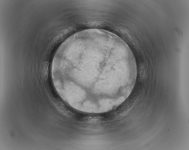 X0000110320495200906181826