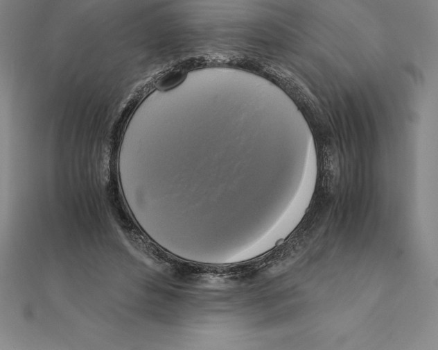 X0000110320496200906181826