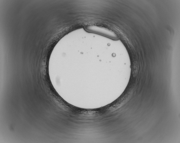 X0000110320497200906181826