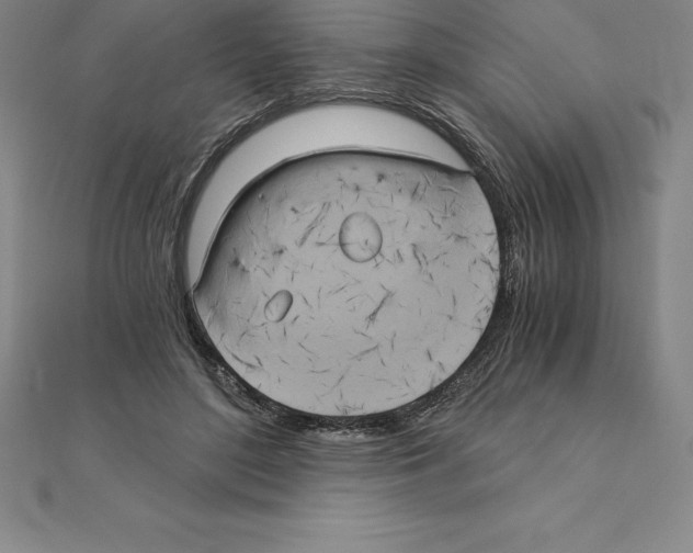 X0000110320500200906181826