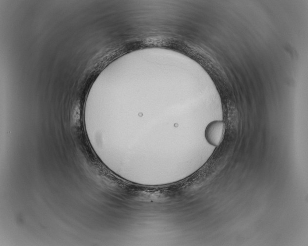 X0000110320502200906181826