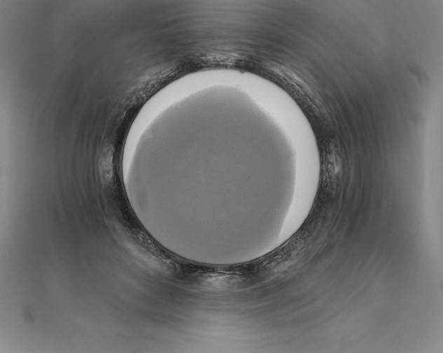 X0000110320504200906181826