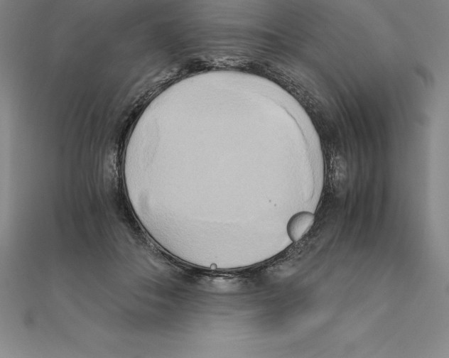 X0000110320506200906181826