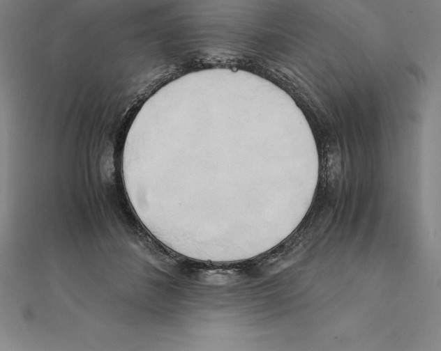 X0000110320508200906181826