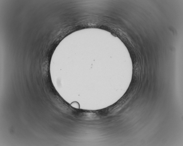 X0000110320509200906181826