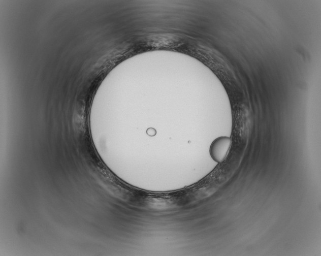 X0000110320510200906181826