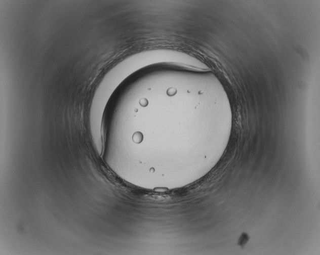 X0000110320512200906181826