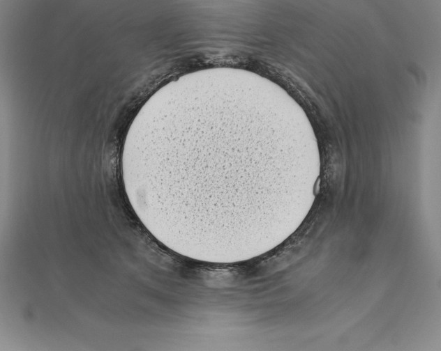 X0000110320513200906181826