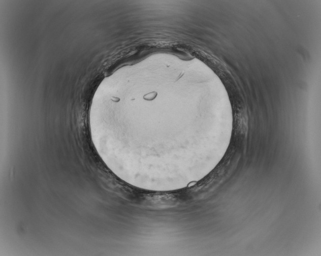 X0000110320517200906181826