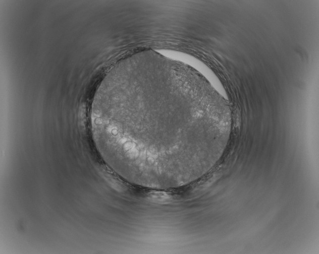 X0000110320519200906181826