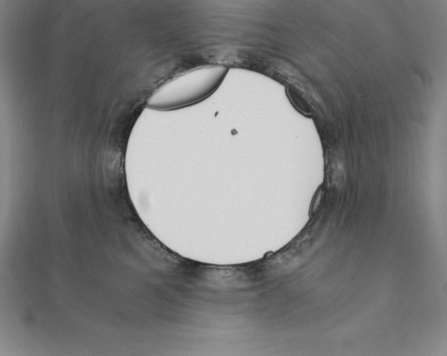 X0000110320521200906181826