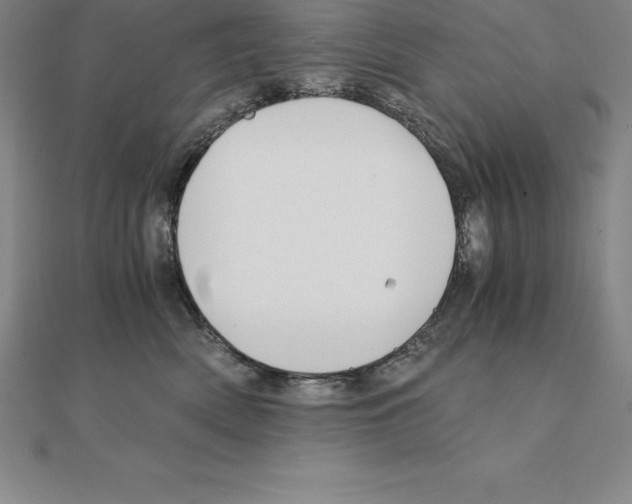 X0000110320522200906181826