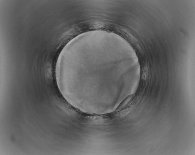 X0000110320524200906181826