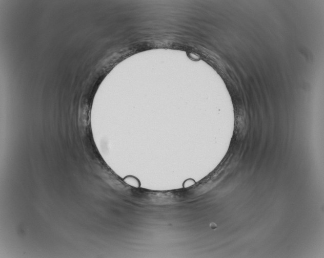 X0000110320525200906181826