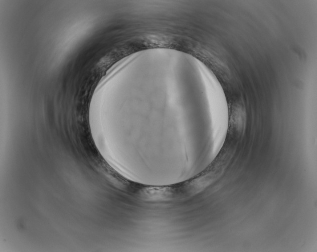 X0000110320526200906181826