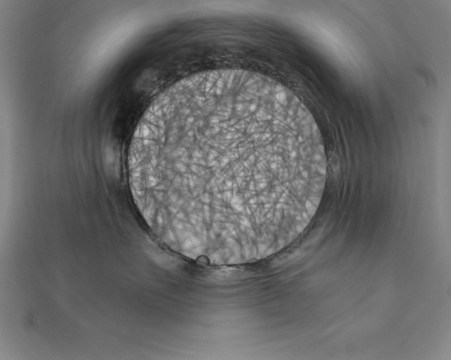 X0000110320527200906181826