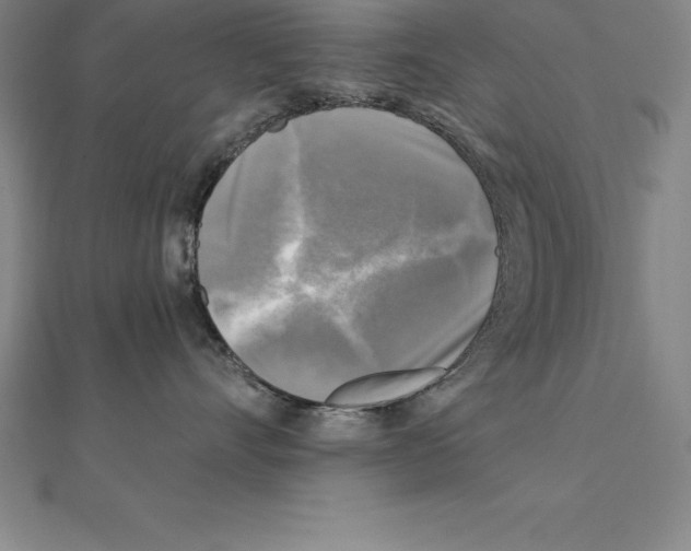 X0000110320528200906181826