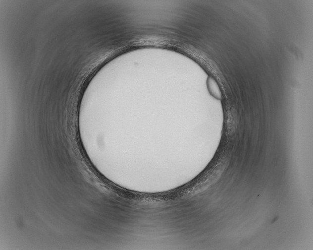 X0000110320529200906181825