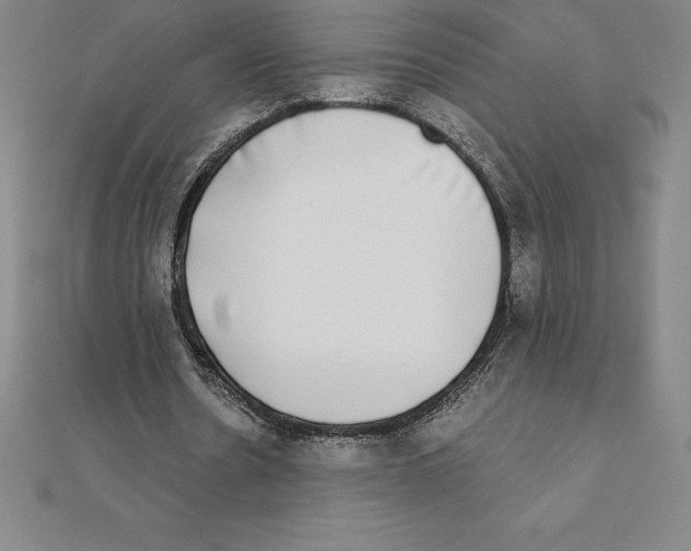 X0000110320530200906181825