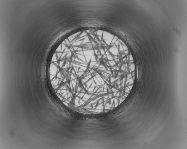 X0000110320531200906181825