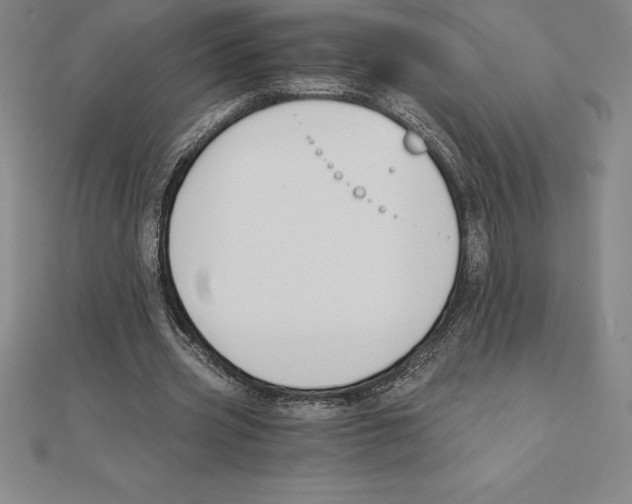 X0000110320533200906181825