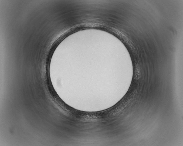 X0000110320535200906181825