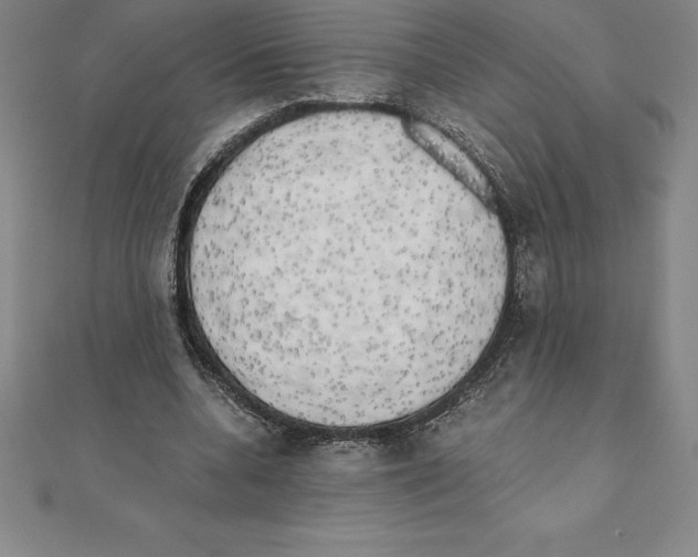 X0000110320536200906181825