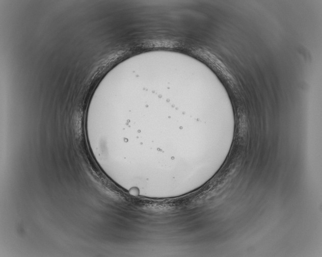 X0000110320537200906181825