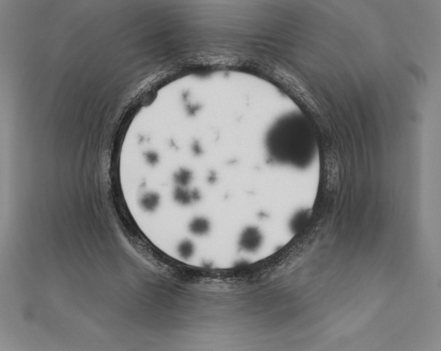 X0000110320538200906181825