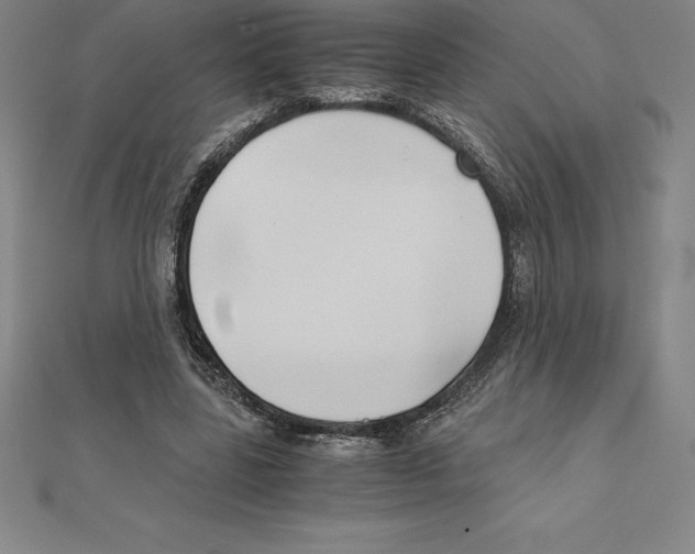 X0000110320539200906181825