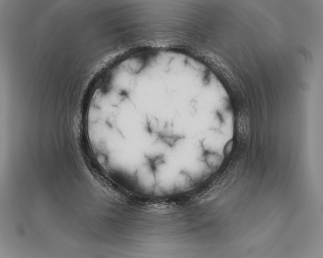 X0000110320540200906181825