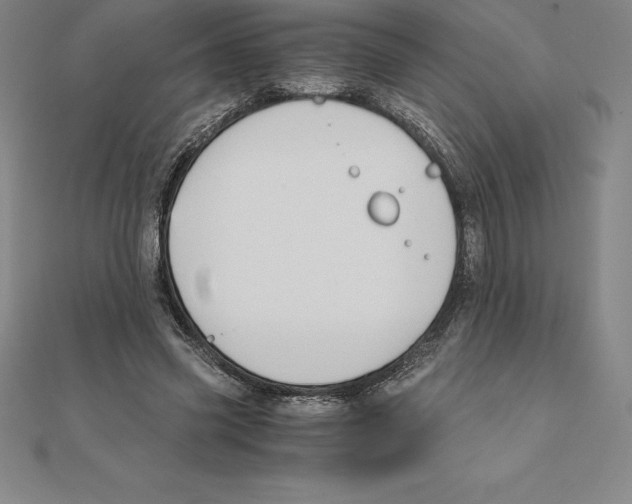 X0000110320541200906181825