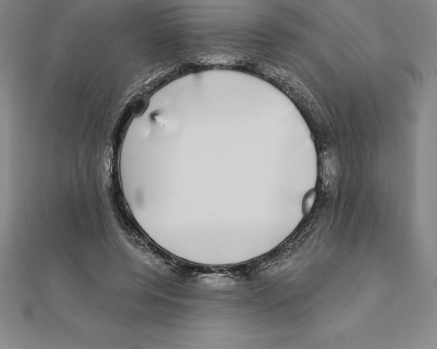 X0000110320544200906181825