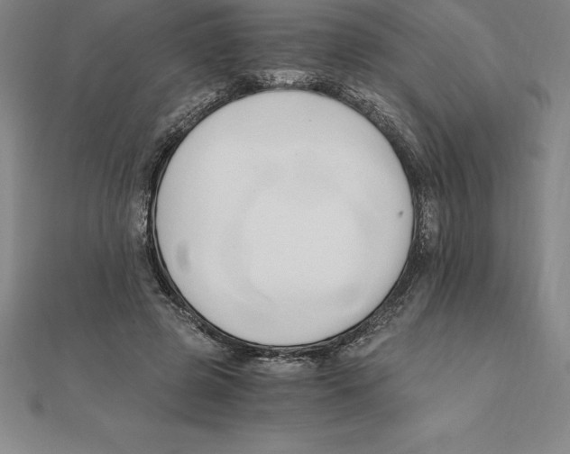 X0000110320545200906181825