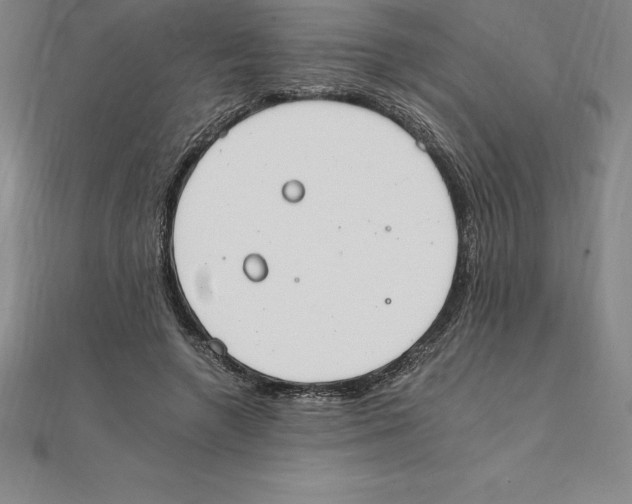 X0000110320546200906181825