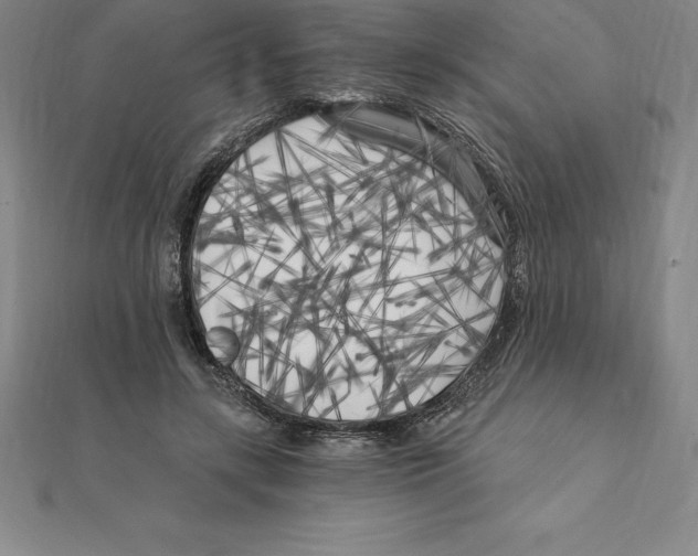 X0000110320547200906181825