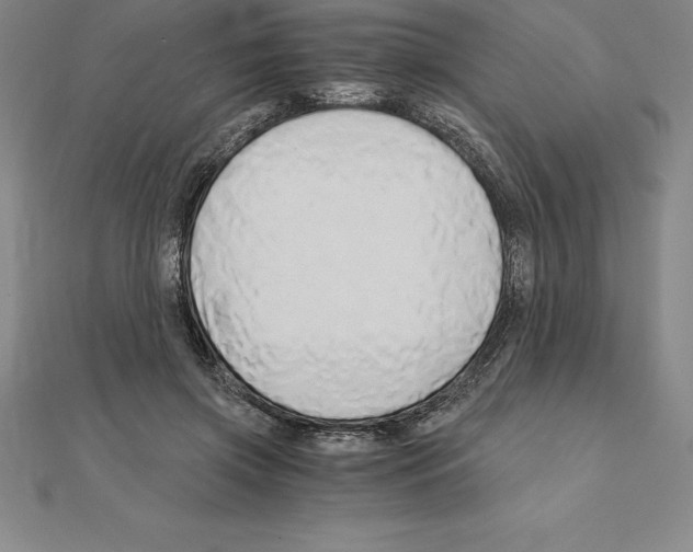 X0000110320549200906181825