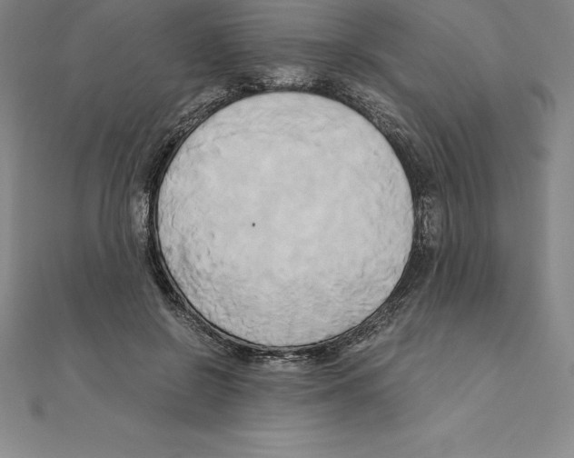 X0000110320550200906181825