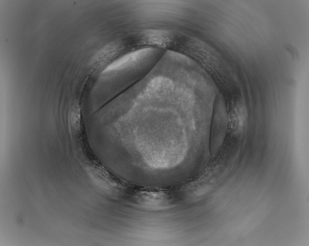 X0000110320552200906181825