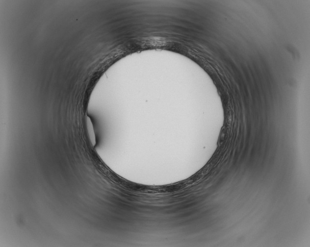 X0000110320555200906181825