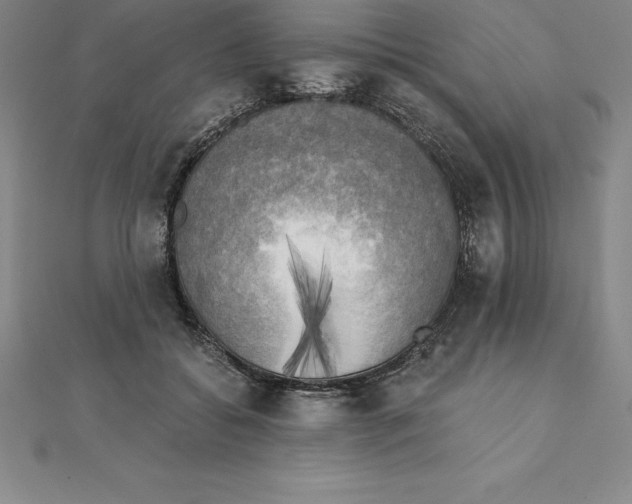 X0000110320556200906181825