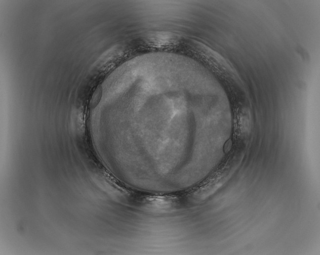 X0000110320558200906181826