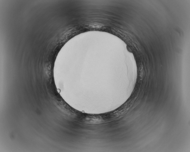 X0000110320559200906181826